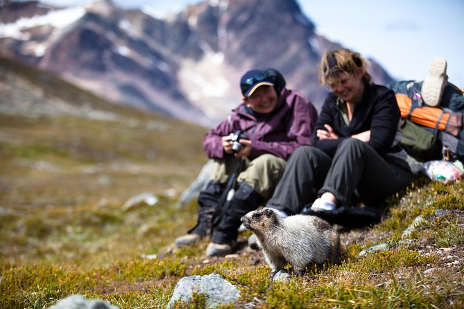 Jasper to Banff One-Way Tour - Inclusions