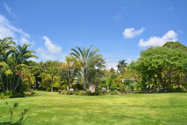 Joys Of Miami Family Walking Tour Taking In Botanical Garden Serenity