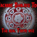 Kabukicho Macabre Tour The Real Tokyo Vice Tour Overview