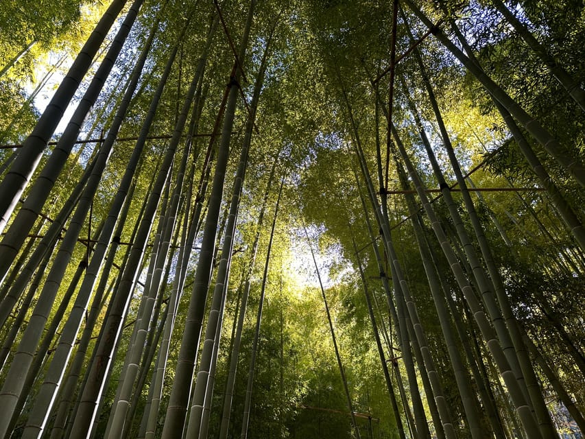 Kamakura: Cycle Through Centuries - Tour Overview