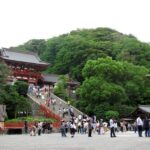 Kamakura: Great Buddha, Hase Temple, & Komachi Street Tour Tour Overview