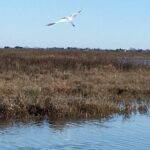 Kayak Discovery Tour In The Lagoon Of Venice Highlights Of The Tour