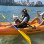 Kayak Rental Equipment At Condado Lagoon Overview Of Kayak Rentals