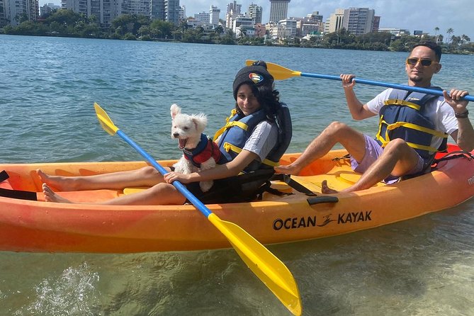 Kayak Rental Equipment at Condado Lagoon - Overview of Kayak Rentals