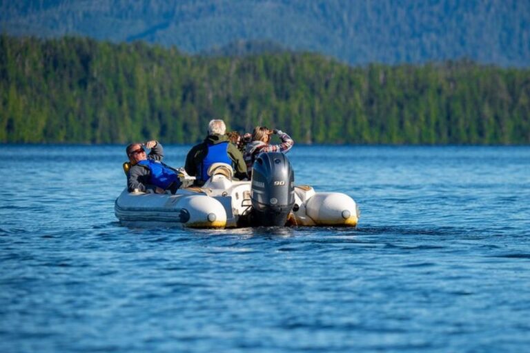 Ketchikan: Private Scenic Drive & George Inlet Fjords Cruise Exploring The Tongass Narrows