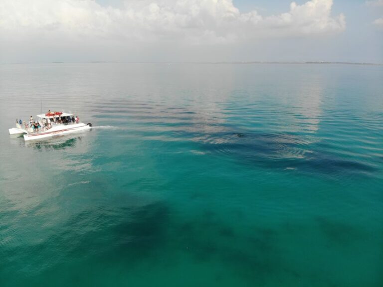 Key West: Dolphin & Snorkel Boat Tour With Sunset Option Tour Overview