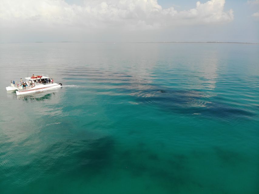 Key West: Dolphin & Snorkel Boat Tour With Sunset Option - Tour Overview