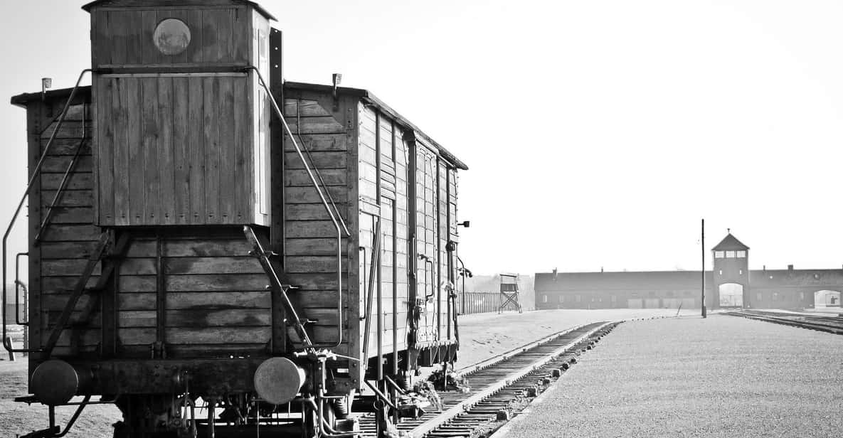 Kraków: Auschwitz-Birkenau and Wieliczka Salt Mine Day Trip - Overview of the Tour