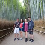 Kyoto: Arashiyama Bamboo Grove, Monkey Mountain Walking Tour Tour Overview