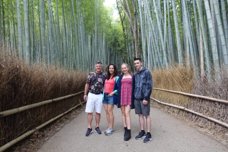 Kyoto: Arashiyama Bamboo Grove, Monkey Mountain Walking Tour Tour Overview