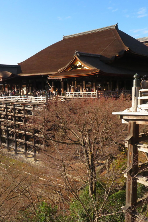 Kyoto: Best Of Kyoto Half Day Private Tour Tour Overview