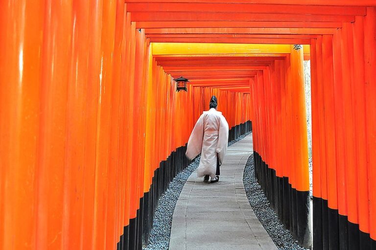 Kyoto: Heritage Highlights Full Day Tour Tour Overview