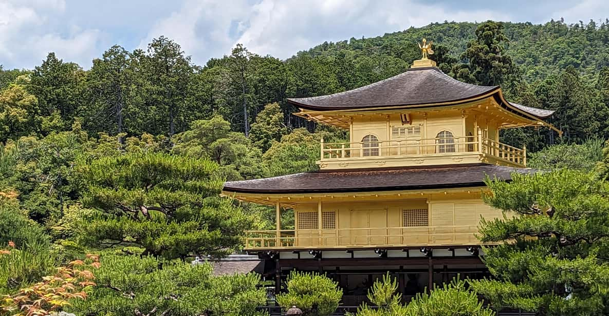 Kyoto Private Custom Tour Review - Tour Overview and Pricing