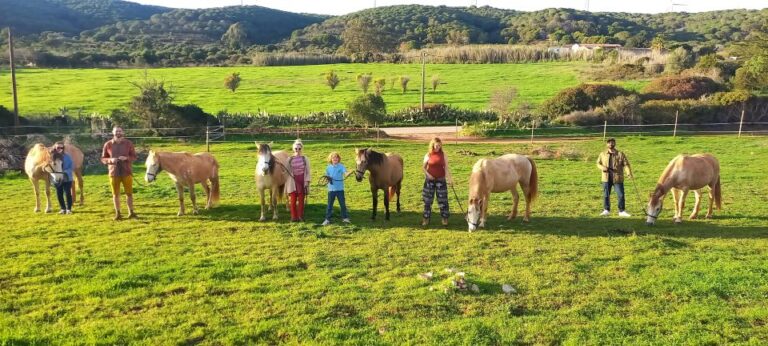 Lagos: A Walk With A Rescued Horse At The Sanctuary Activity Overview