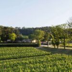 Languedoc: Tour And Tasting At Domaine De Baronarques Discover Limouxs Winemaking Tradition