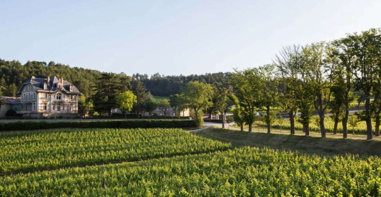 Languedoc: Tour And Tasting At Domaine De Baronarques Discover Limouxs Winemaking Tradition