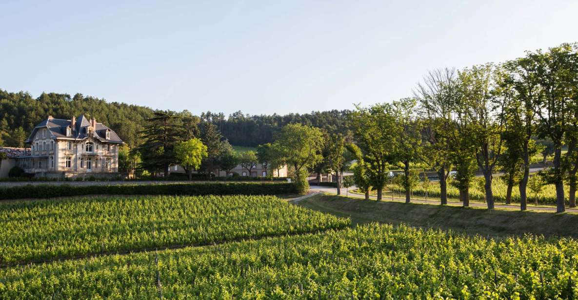 Languedoc: Tour and Tasting at Domaine De Baronarques - Discover Limouxs Winemaking Tradition