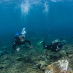 Lanzarote: Beginner Scuba Diving From The Beach Overview Of The Experience