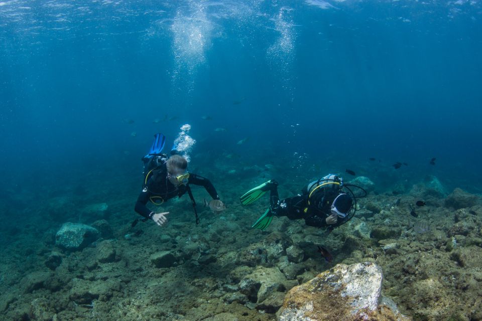 Lanzarote: Beginner Scuba Diving From the Beach - Overview of the Experience