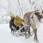 Lapland Reindeer And Husky Safari From Levi Overview Of The Tour