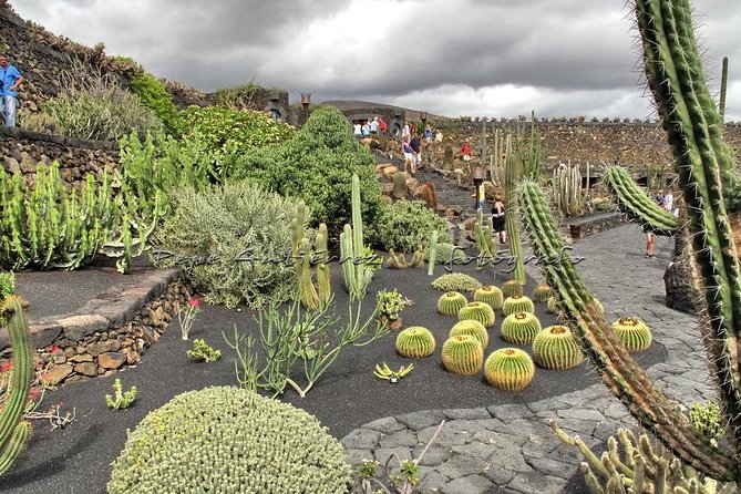 Las Palmas, Botanical Garden & Bandama Crater Tour - Gran Canaria - Highlights of the Tour