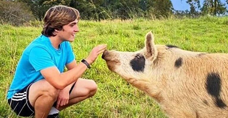 Laupahoehoe: Farm Animal Sanctuary Private Tour Tour Overview