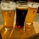 Lodz Private Polish Beer Tasting Tour Tour Overview