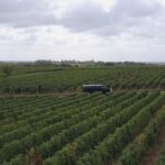 Loire Valley Half Day Wine Tour From Tours : Vouvray Wine Tasting Inclusions