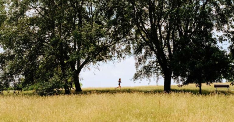 London Hampstead Heath: Fun Puzzle Treasure Hunt To A Pub! Activity Details