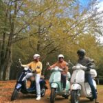 Madeira Island 24h Vespa Primavera 125cc Rental Rental Details And Pricing