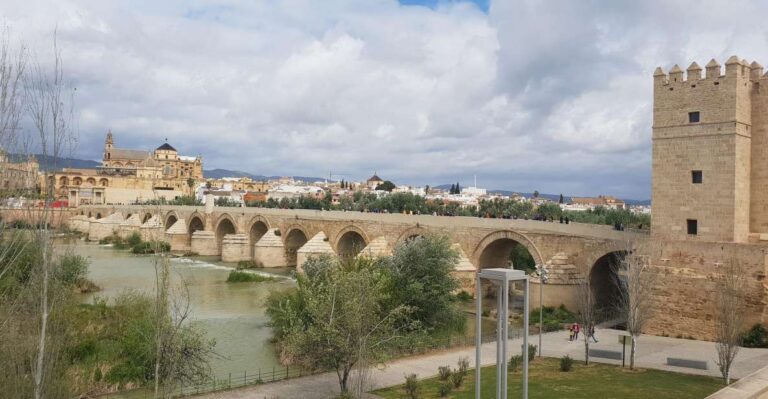 Málaga: Córdoba Day Trip And Optional Mosque Cathedral Entry Tour Overview And Pricing