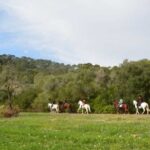 Mallorca: Activity, Antique Mallorca With Picnic Overview Of The Activity