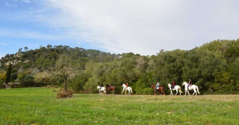 Mallorca: Activity, Antique Mallorca With Picnic Overview Of The Activity