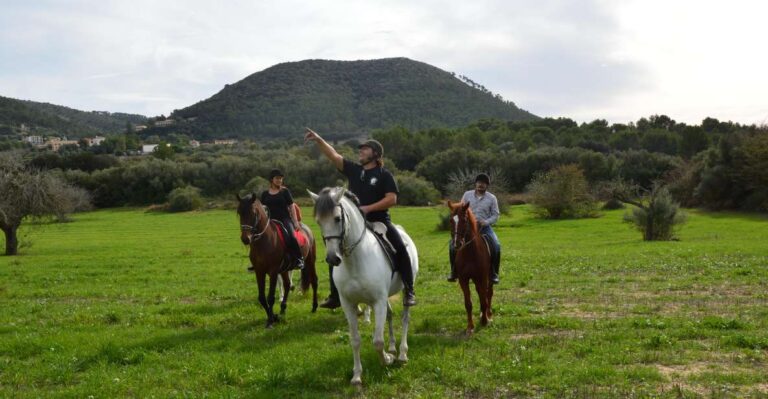 Mallorca: Mallorca Sunset, Randa Valley. Activity Overview