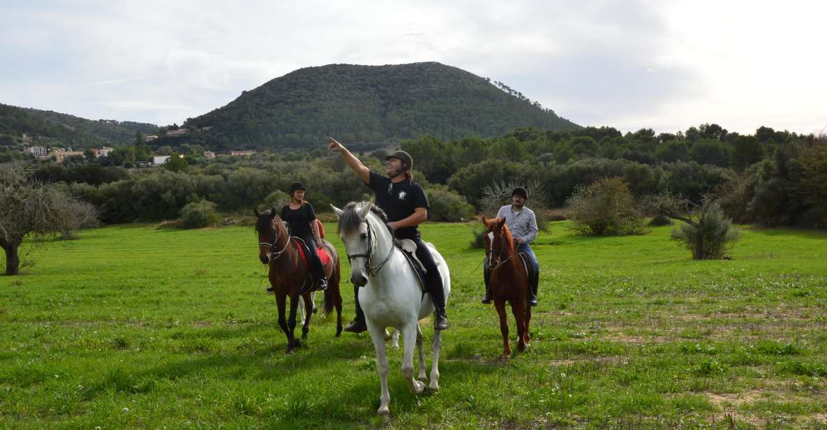 Mallorca: Mallorca Sunset, Randa Valley. - Activity Overview