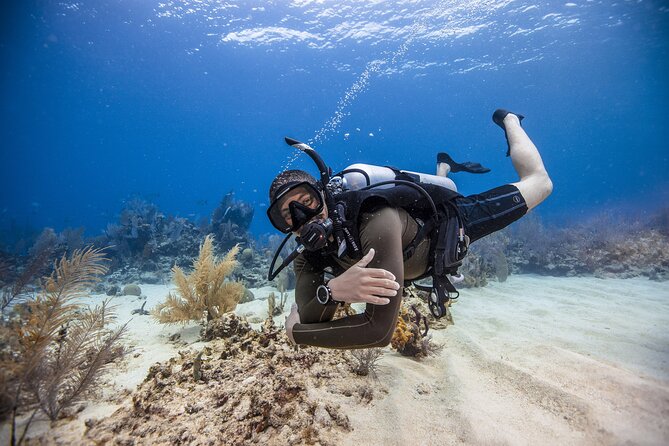 Mallorca Private Scuba Dive + Photo/video Overview Of The Scuba Dive