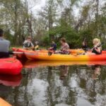 Manchac Swamp Kayak Small Group Tour Tour Overview