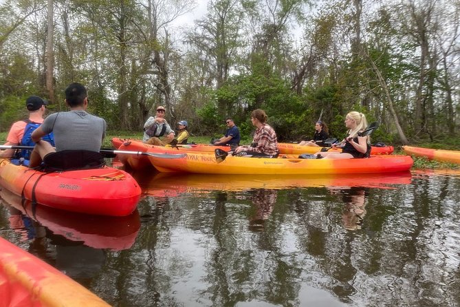 Manchac Swamp Kayak Small-Group Tour - Tour Overview