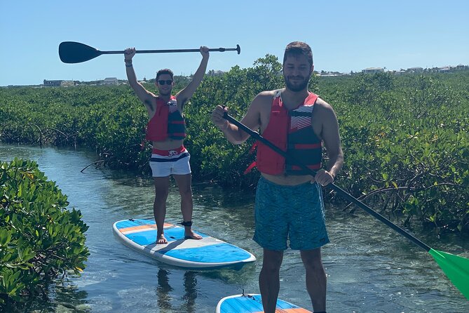 Mangroves Stand Up Paddleboard Tour Availability And Timing