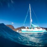 Maui: Kaanapali Wild Dolphin Sail Tour Overview