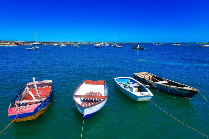 Meet Santa Luzia / Capital of Octopus / Salinas in a 100% Electric Tuk Tuk - Eco-Friendly Electric Tuk-Tuk Tour