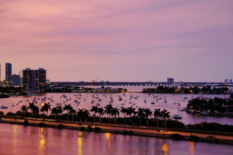 Miami: Small Group Night Tour With Skyviews Wheel Ride Tour Overview