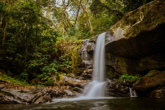 Mikumi National Park & Udzungwa Water Falls 3 Days Group Tour Tour Overview