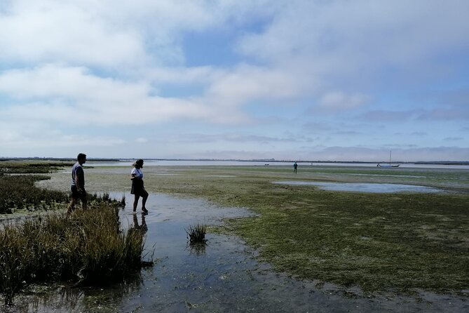 Moliceiro Boat Tour Through the Ria De Aveiro! - Meeting Information