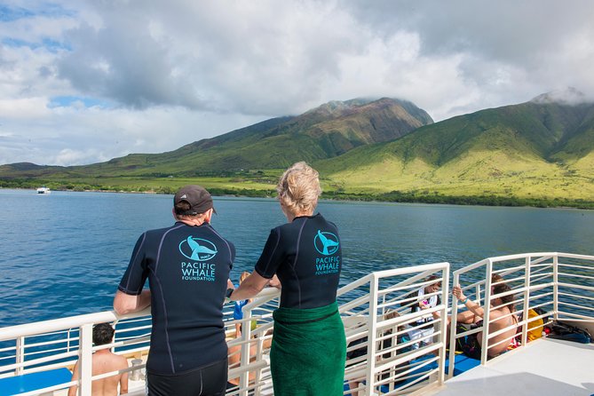 Molokini and Turtle Arches Snorkeling Trip From Maalaea Harbor - Wildlife and Snorkeling