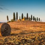 Montepulciano, Montalcino, Pienza From Florence Tour Overview