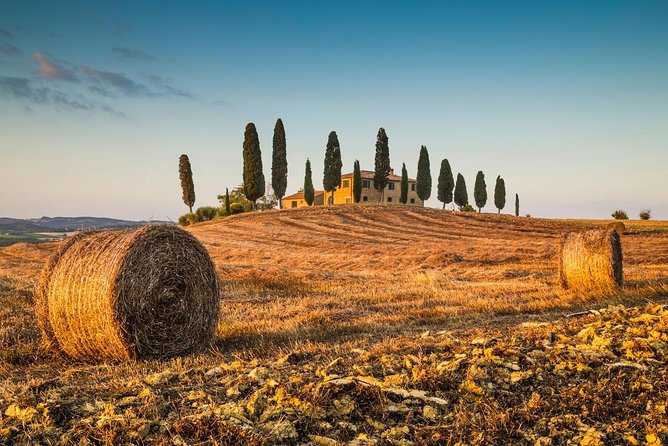 Montepulciano, Montalcino, Pienza From Florence Tour Overview