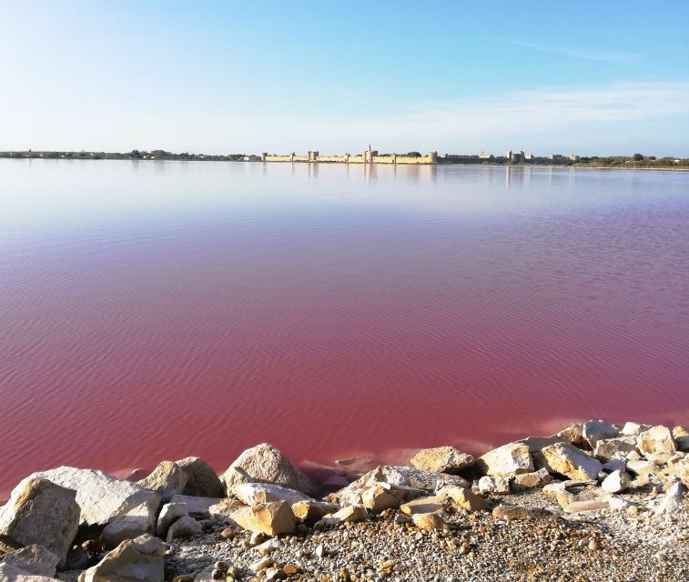 Montpellier: Guided Half Day Trip To A Camargue Manade Discovering The Camargue Manade