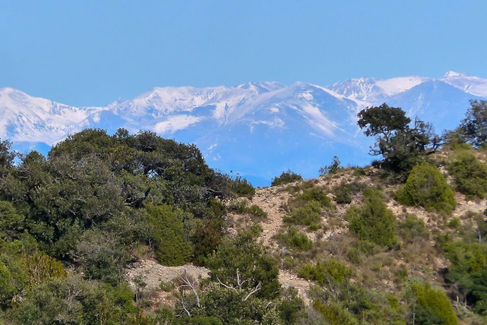 Montserrat: 6-Hour Tour With a Choice of 3 Levels of Hiking - Tour Overview and Pricing