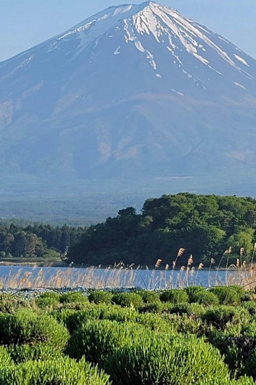 Mount Fuji Day Tour With English Speaking Guide - Accessibility and Suitability